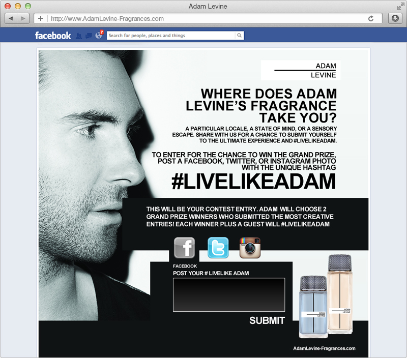 Adam Levine Prize